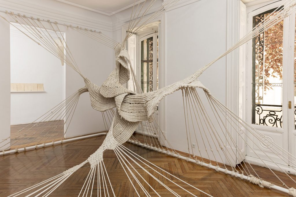 Aurelia Cometa anclado