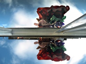 Huéspedes 450 ficha