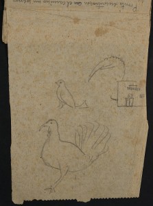 XX_550668_1_Fol_001V