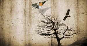 urban_tv_2014_web_slide