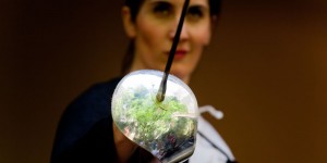 APERTURA-EXTRAORDINARIA-Teatreo-La-Noche-de-los-museos-MAYO