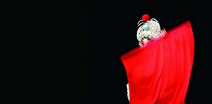 Lo invisible. Ópera de Pekín. Foto de Wang Yao. La mujer moderna en China. Asociación Nacional de Fotógrafos de China (CPA).