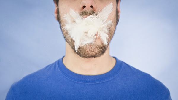 Cuando caiga la nieve