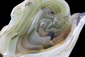 Pedro García_pliegues (1)