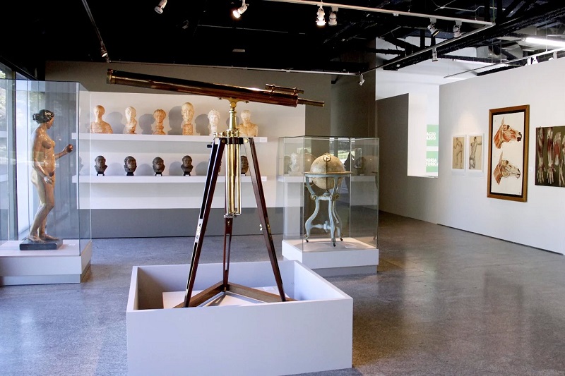 Museos para el Conocimiento 2