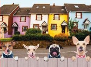 hermanas perros frikis