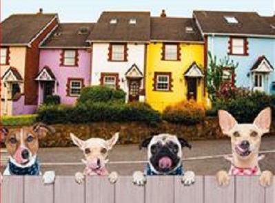 hermanas perros frikis