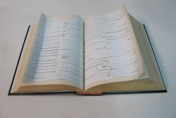 viib_adan-julio_si-no-lo-veo