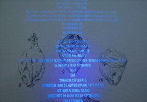 Feria Drawing Room 2019