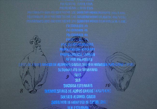 Feria Drawing Room 2019