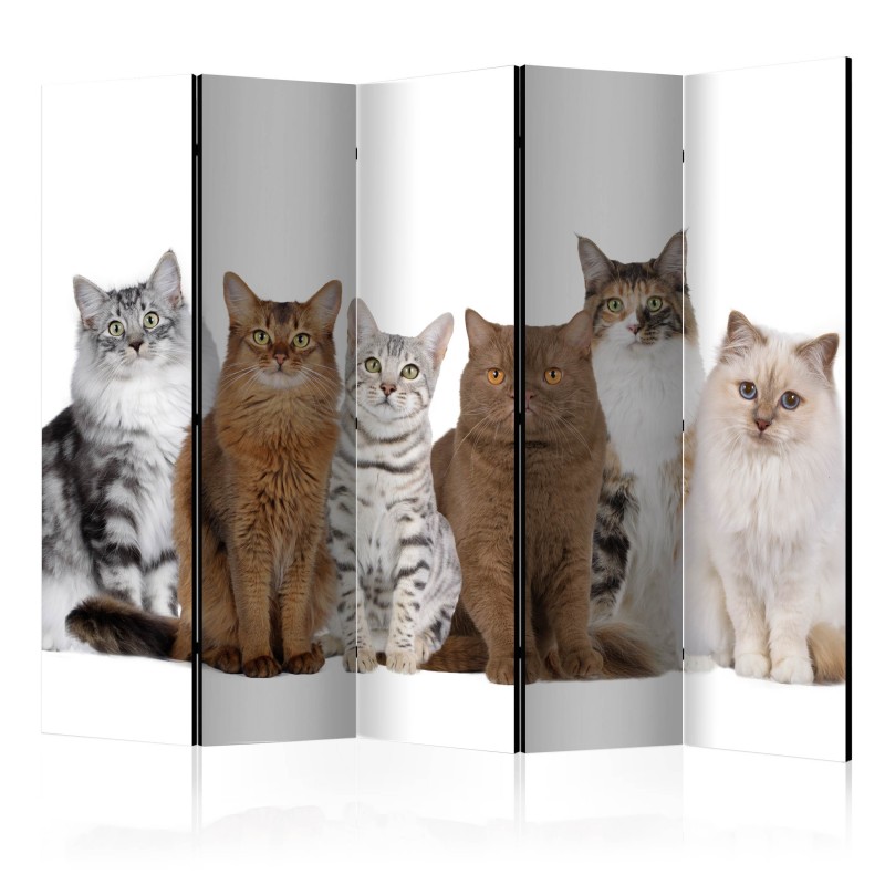 biombo-sweet-cats-ii-room-dividers-