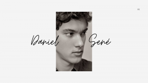 Daniel Sené