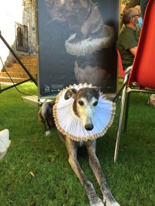 Festival Teatro Cáceres