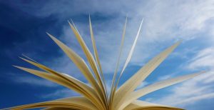 Fallo Premio Relato Hispania