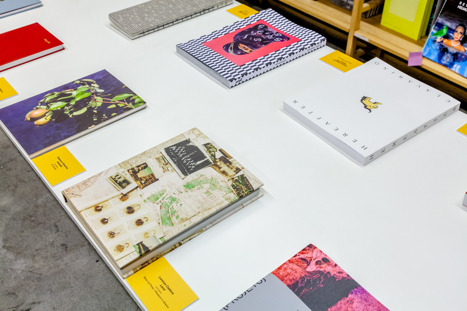  Premio al Mejor Libro de Fotografía del Año PHE21