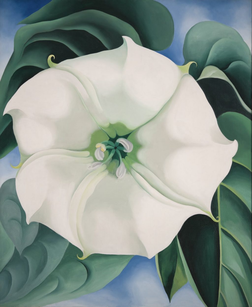 Georgia O'Keeffe. Estramonio. Flor blanca nº 1, 1932.