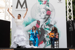 Festival Flamenco Madrid