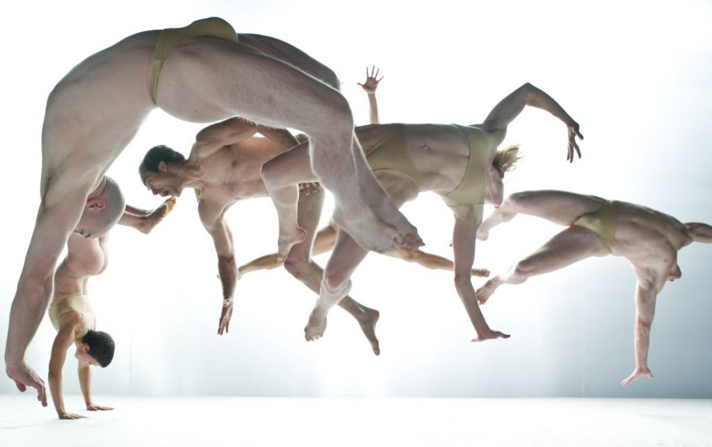Pilobolus