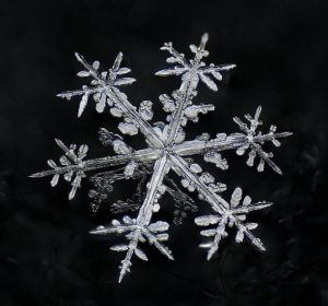 Detrás del cristal