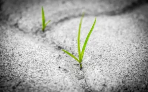 Premio de Poesía Lorenzo Gomis