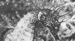 Poesía de las ideas