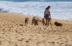 Viajes de voluntariado