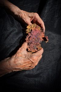 Fotografía premiada Encuadre 2023 'En Bruto'