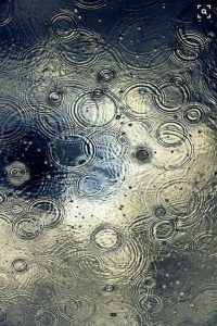  Ignacio Sánchez Albert